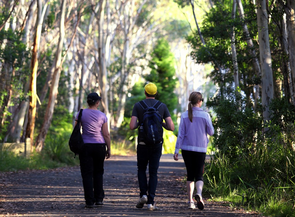Hanging Rock Trails MT Macedon Walks Macedon Ranges Hikes