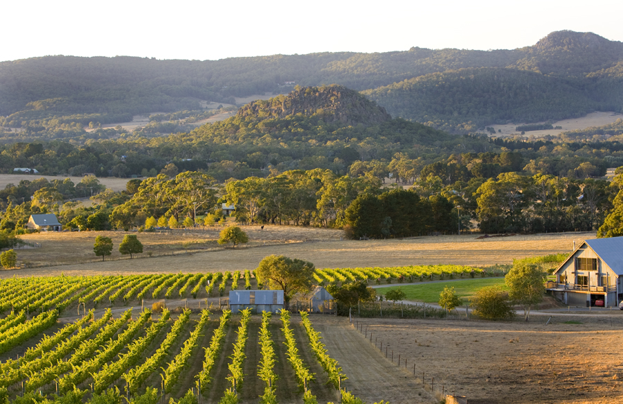 Mount Macedon Winery