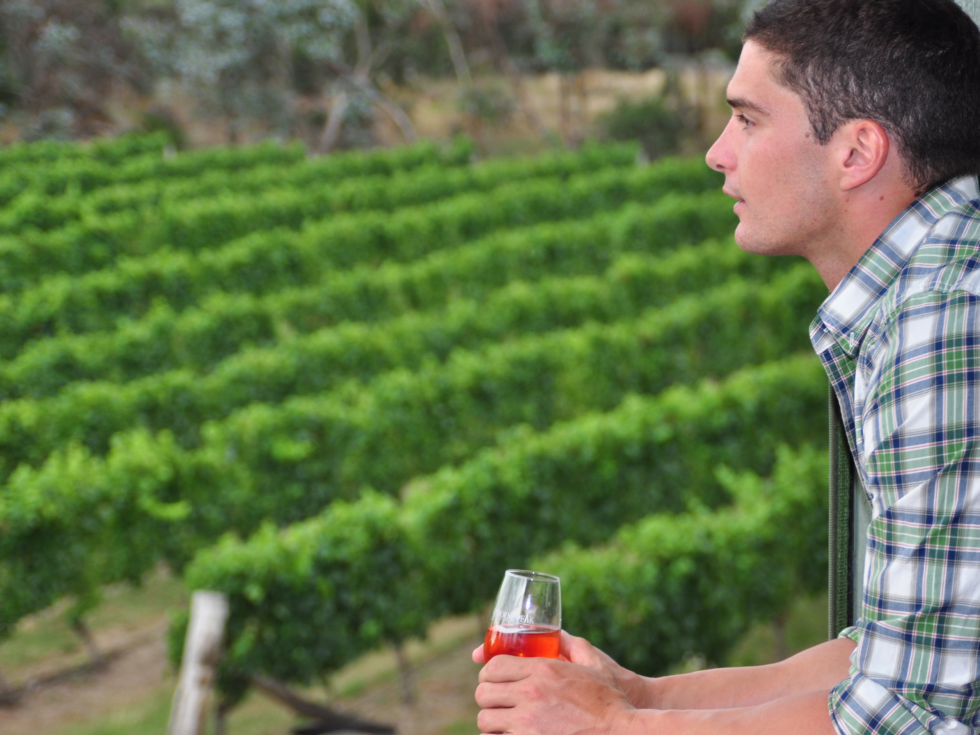 gisborne winery tours