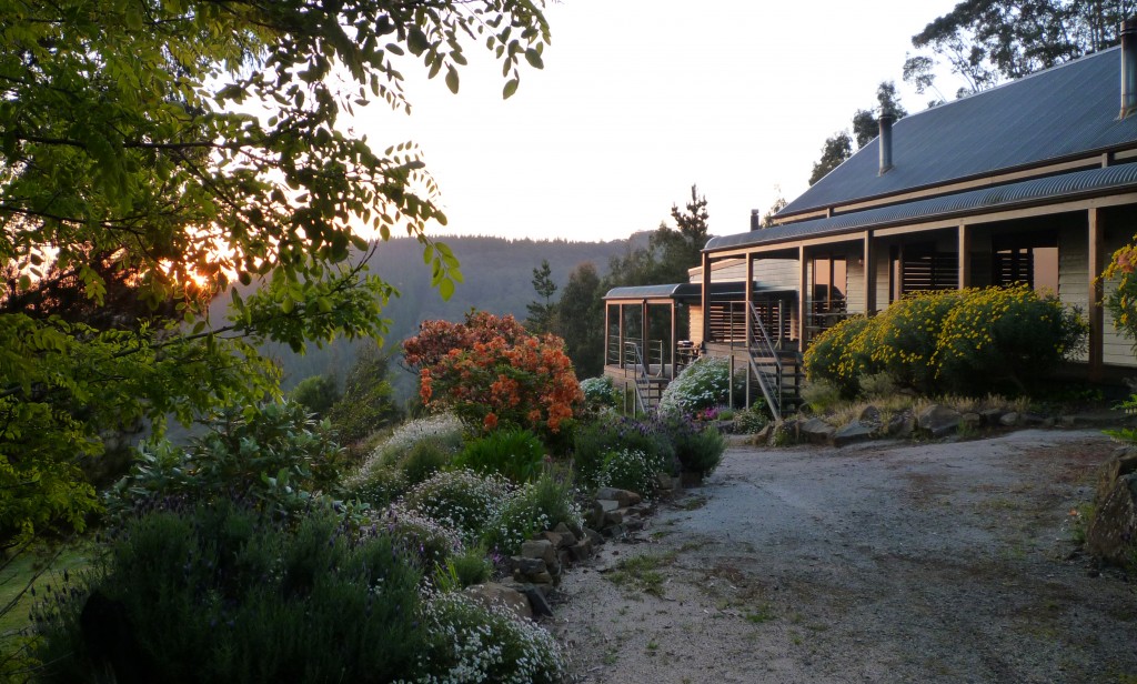Cherokee Mountain Retreat