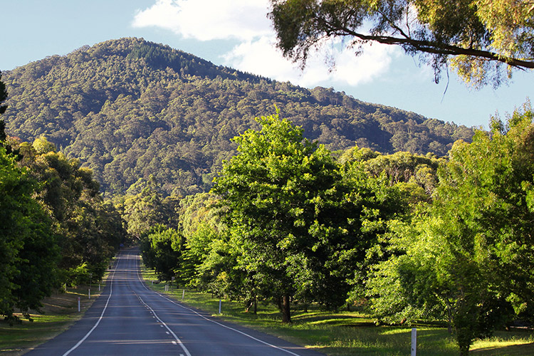 places to visit in mount macedon