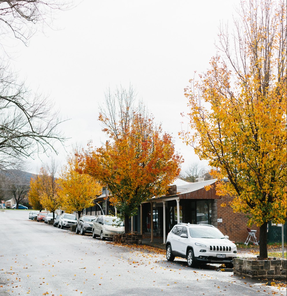 Riddells Creek - Station Street