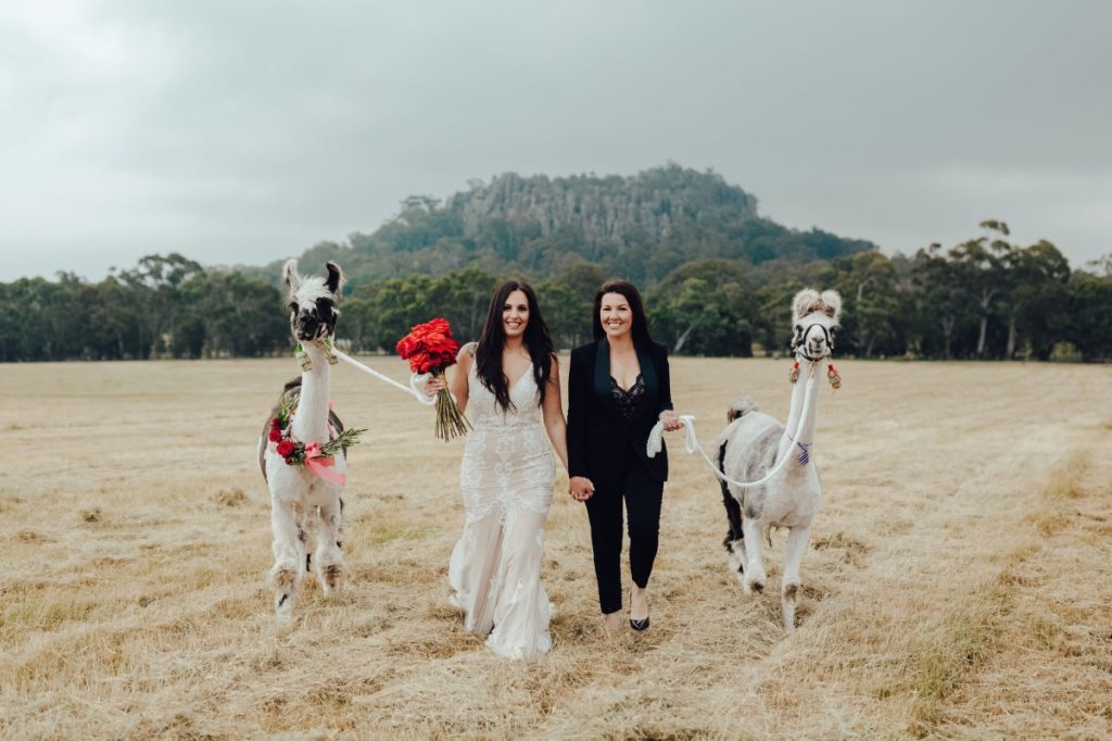Brides-alpaca-hanging-rock-wedding