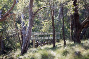 places to visit macedon ranges