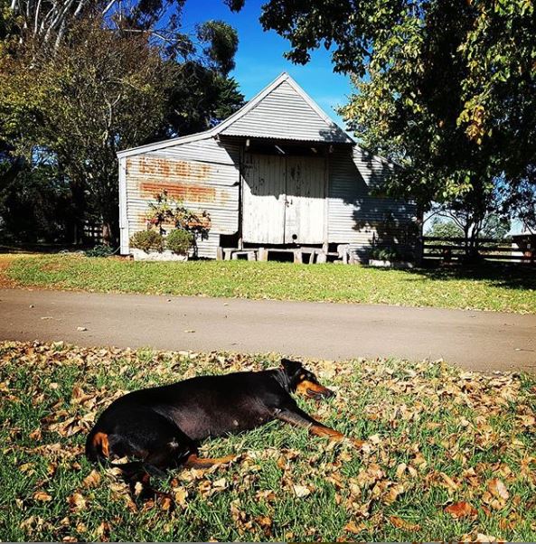Diva at Parkside Winery