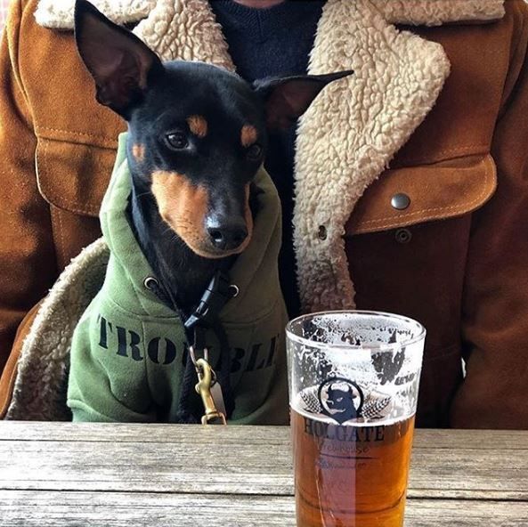 Holgate Brewhouse Dog Friendly