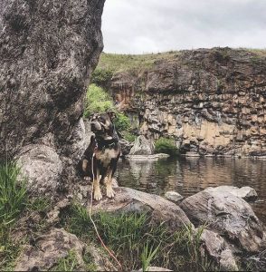 Turpins Falls Dog