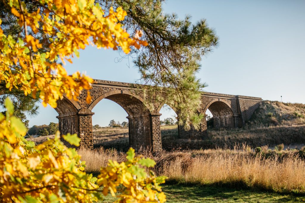 Malmsbury Viaduct and Botanical Gardens