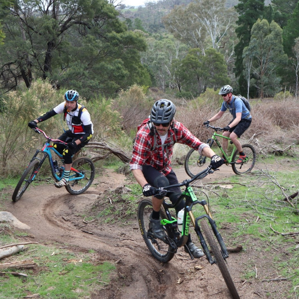 Wombat mtb top trails
