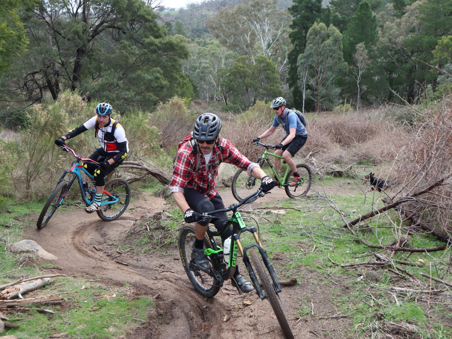 Mountain biking Macedon Ranges