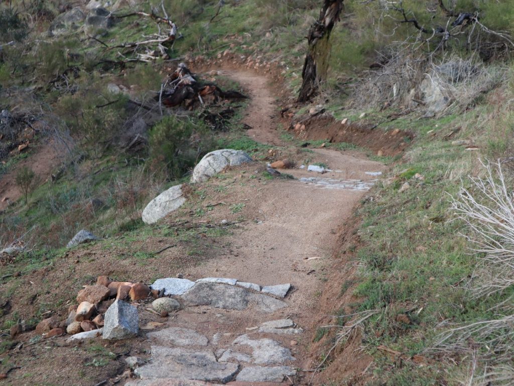 Wombat mtb trails 2025