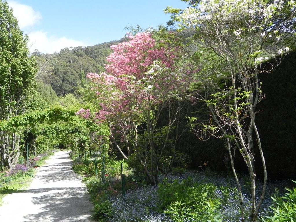 Gardens of Tieve Tara Spring Open Garden