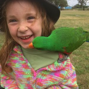 Riddells Creek Market