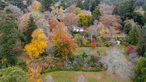 Cameron Lodge Autumn Trees Mount Macedon