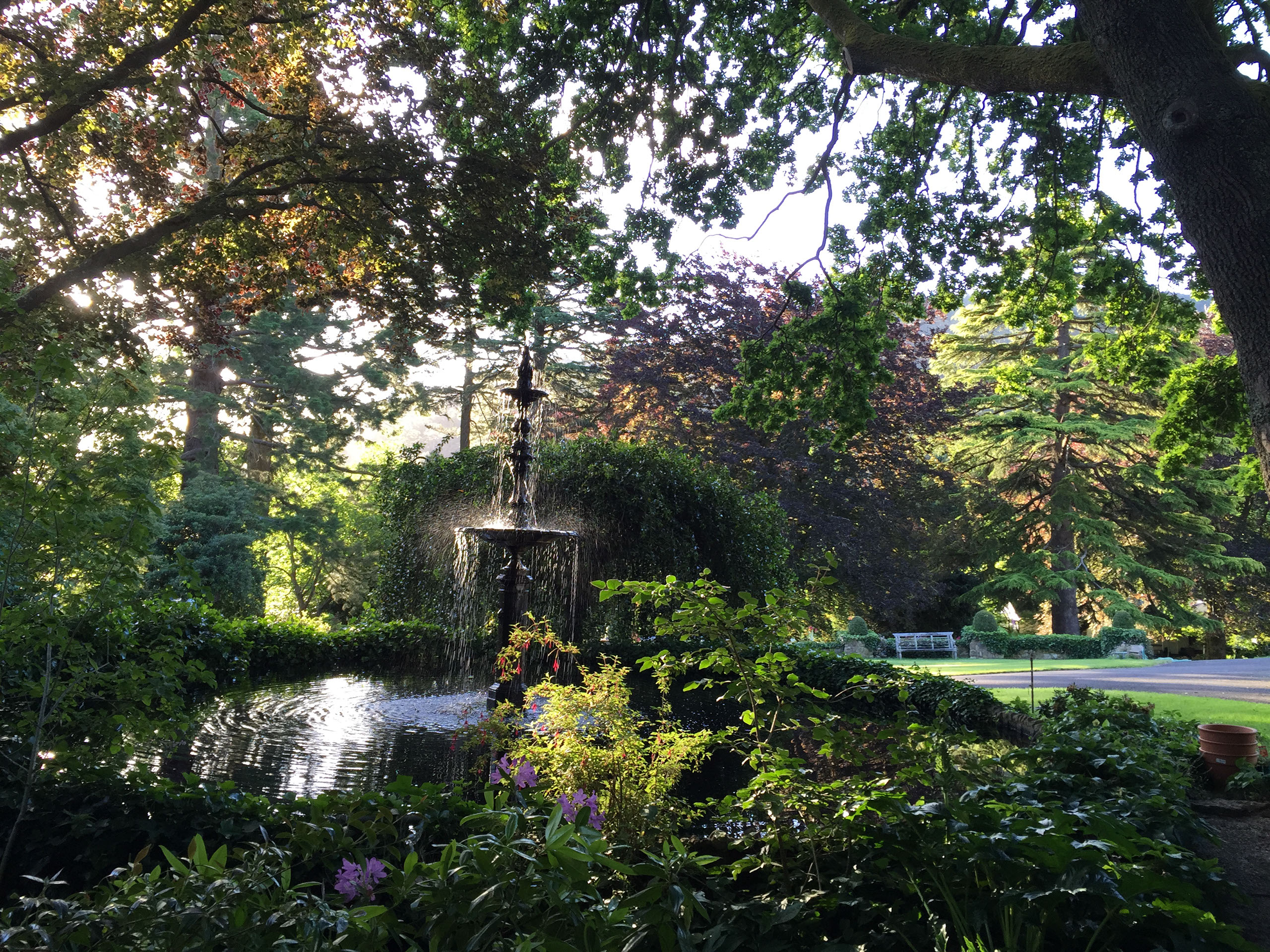 Garden at Cameron Lodge Mount macedon