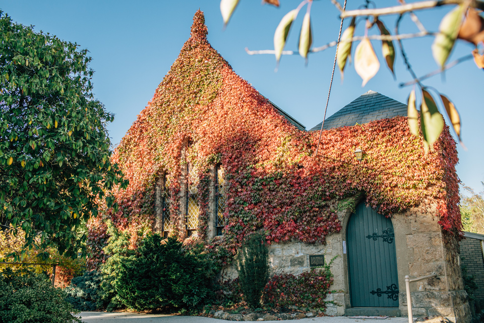 Beautiful ivy covered church in Mount Macedon during autumn