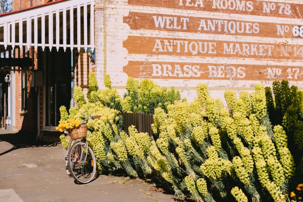Vintage bike with daffodils in basket outside historic building on Piper Street Kyneton