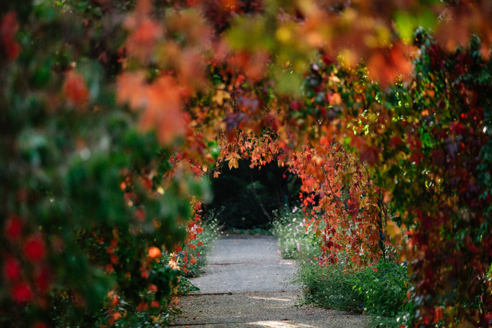 Gardens of Tieve Tara in Autumn Mt Macedon