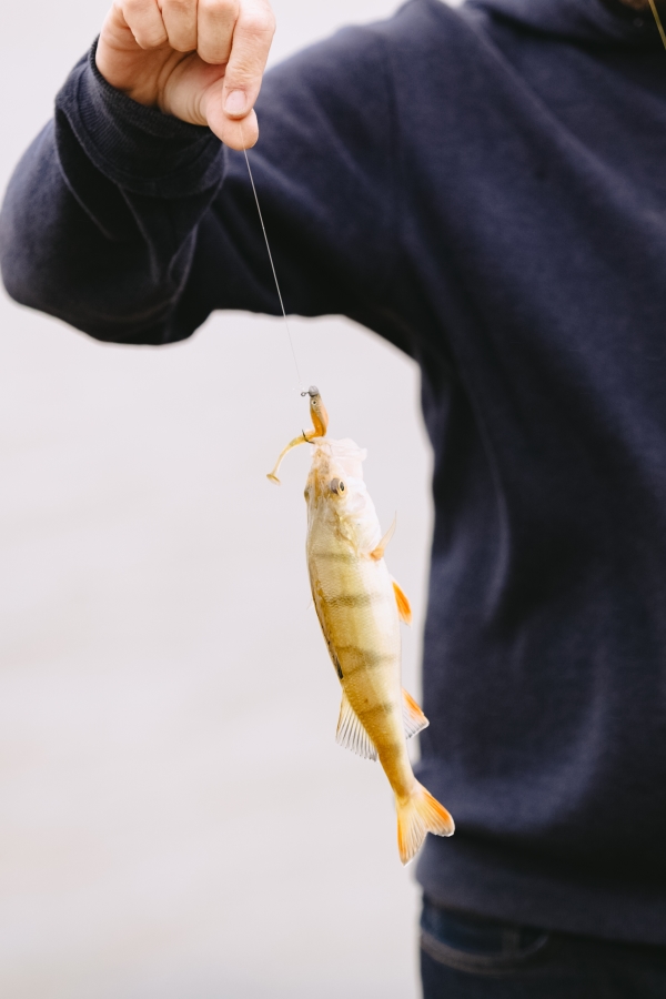 Fishing at Lauriston Reservoir