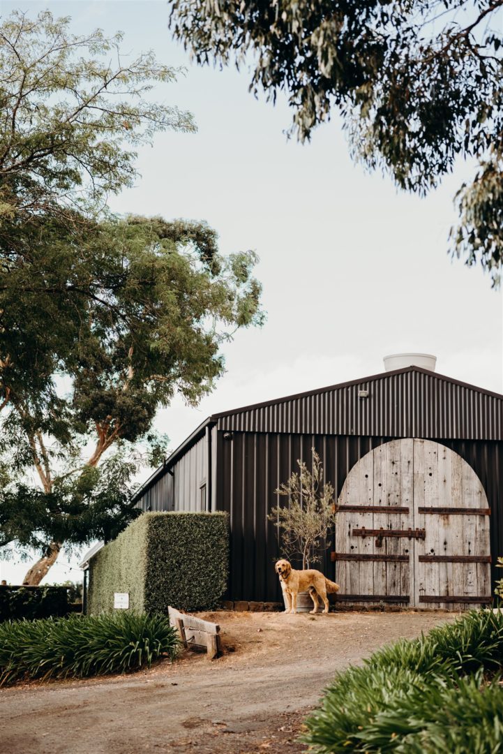 Mount Macedon Winery Cellar Door and Restaurant Visit Macedon Ranges