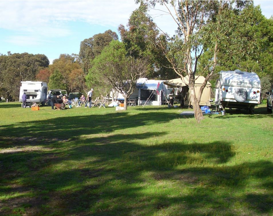 treetops scout camp riddells creek