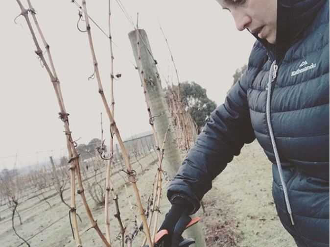 Lyons Will Estate Hand Pruning