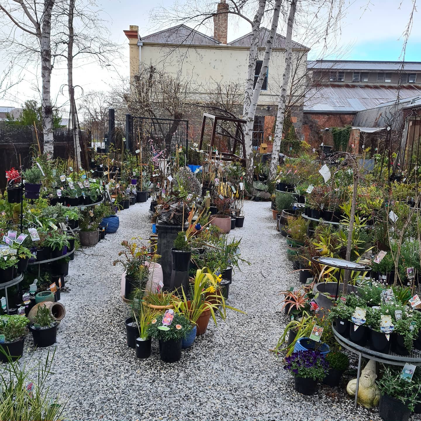 Garden Tap Nursery