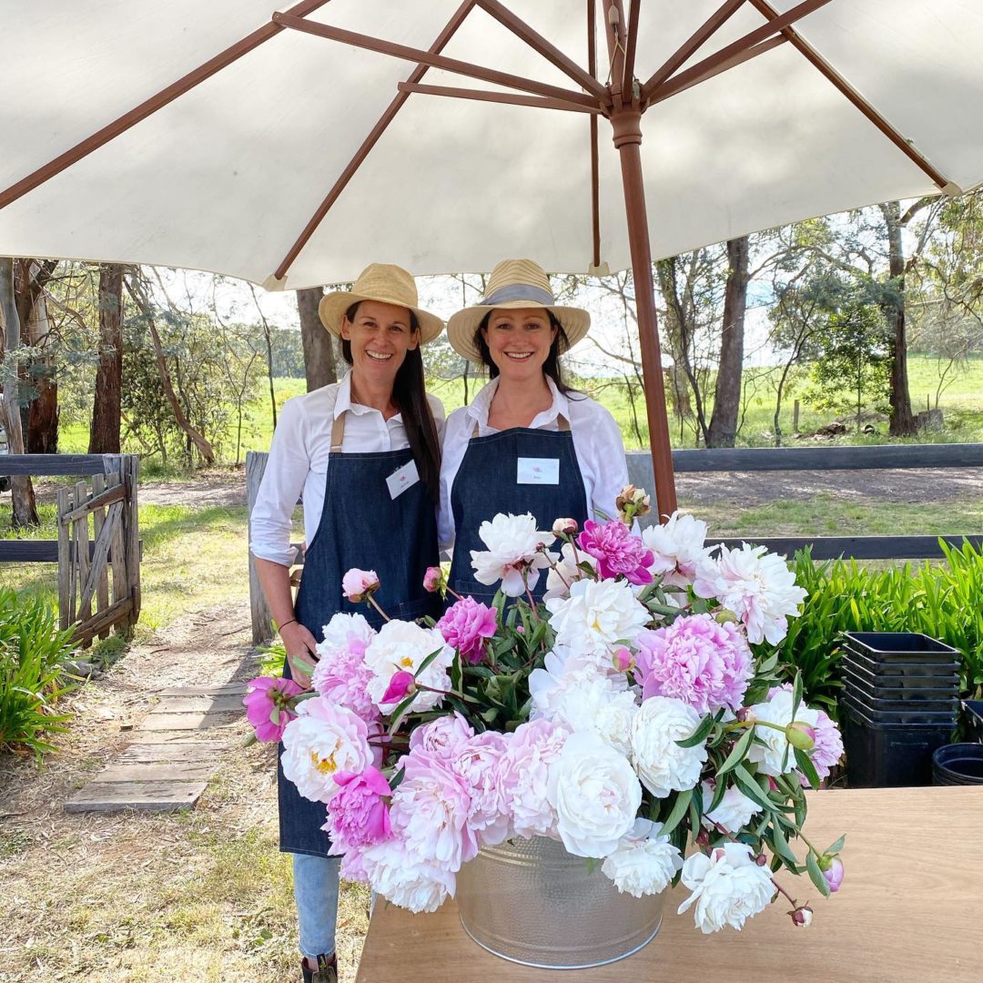 Festivals & Peony Picking Visit Macedon Ranges
